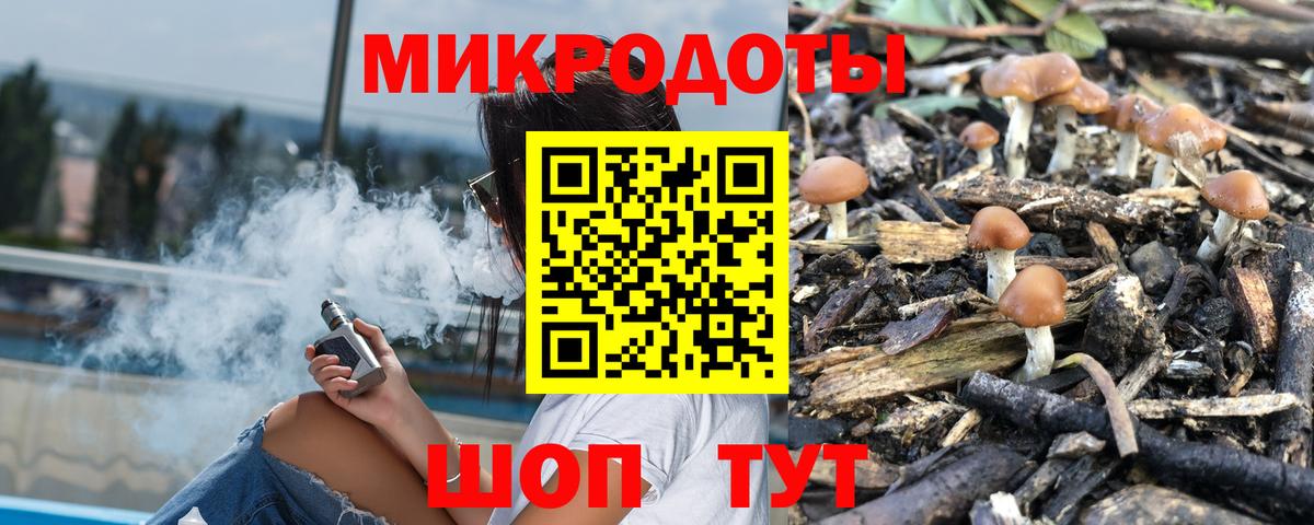 Обь  Галлюциногенные грибы GOLDEN TEACHER  Вход с VPN 