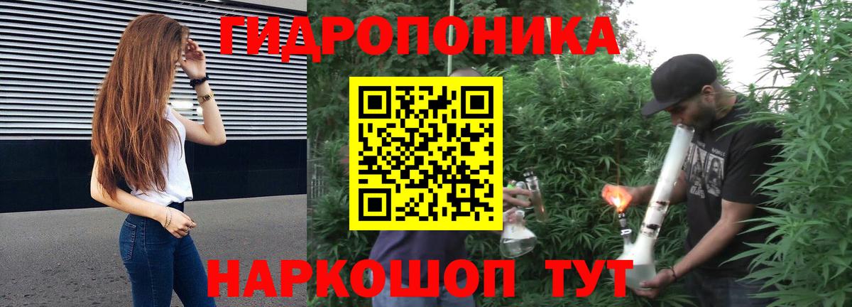 Каннабис конопля Обь